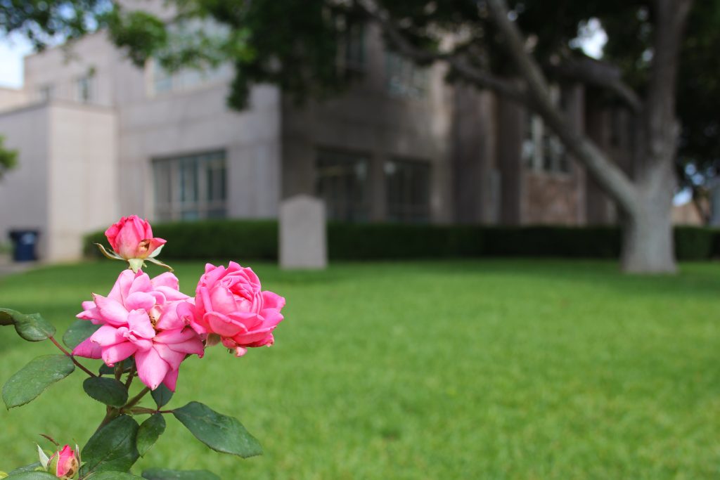 Burnet Texas historic burnet downtown